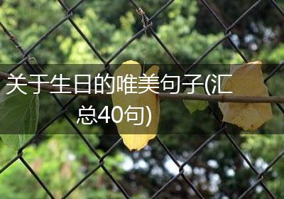 关于生日的唯美句子(汇总40句)