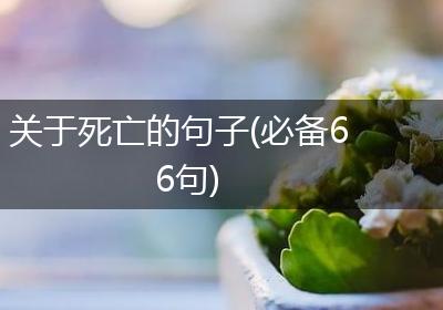 关于死亡的句子(必备66句)