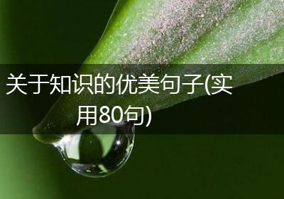 关于知识的优美句子(实用80句)