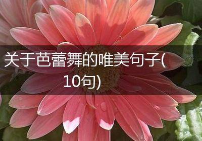 关于芭蕾舞的唯美句子(10句)