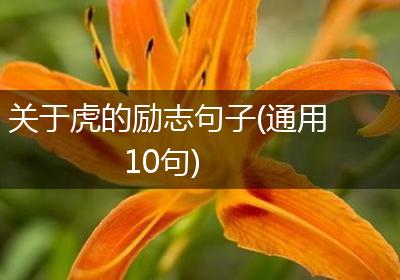 关于虎的励志句子(通用10句)