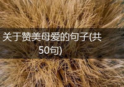 关于赞美母爱的句子(共50句)