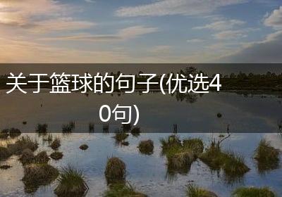 关于篮球的句子(优选40句)