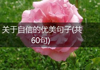 关于自信的优美句子(共60句)