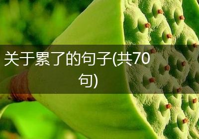 关于累了的句子(共70句)