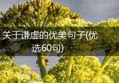 关于谦虚的优美句子(优选60句)