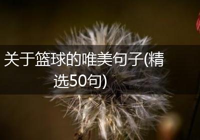 关于篮球的唯美句子(精选50句)