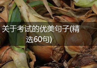 关于考试的优美句子(精选60句)