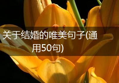 关于结婚的唯美句子(通用50句)