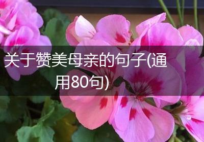 关于赞美母亲的句子(通用80句)