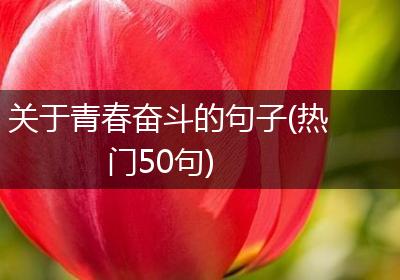关于青春奋斗的句子(热门50句)