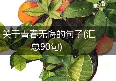 关于青春无悔的句子(汇总90句)