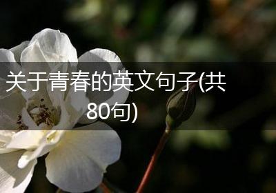 关于青春的英文句子(共80句)