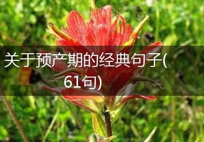 关于预产期的经典句子(61句)