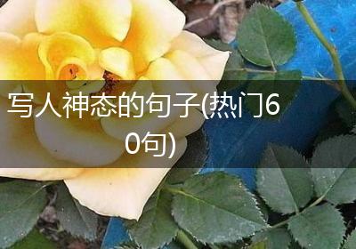 写人神态的句子(热门60句)