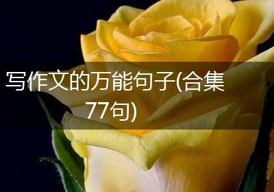 写作文的万能句子(合集77句)