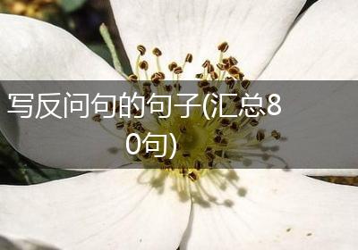 写反问句的句子(汇总80句)