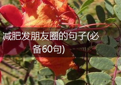减肥发朋友圈的句子(必备60句)