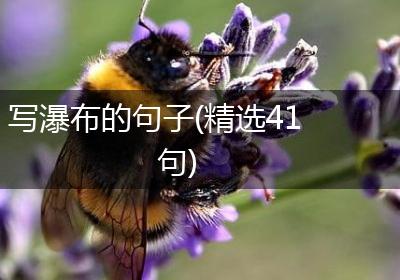 写瀑布的句子(精选41句)