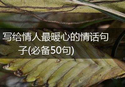 写给情人最暖心的情话句子(必备50句)