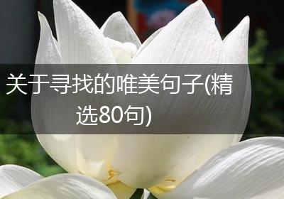 关于寻找的唯美句子(精选80句)