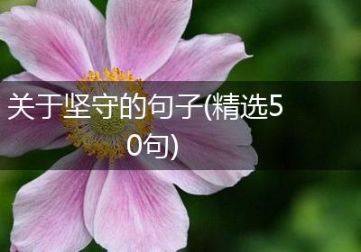 关于坚守的句子(精选50句)