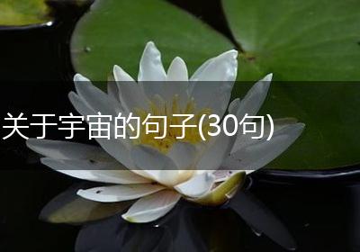 关于宇宙的句子(30句)
