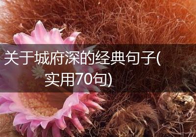 关于城府深的经典句子(实用70句)