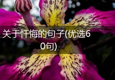 关于忏悔的句子(优选60句)