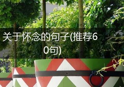 关于怀念的句子(推荐60句)