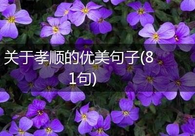 关于孝顺的优美句子(81句)