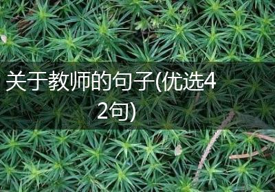 关于教师的句子(优选42句)