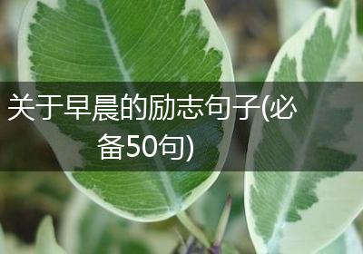 关于早晨的励志句子(必备50句)