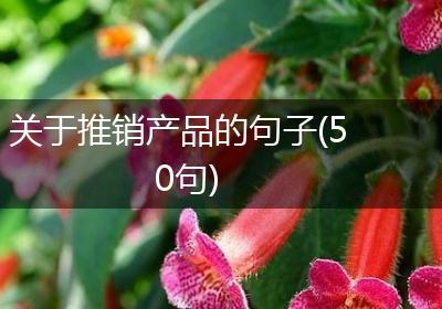 关于推销产品的句子(50句)