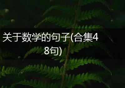 关于数学的句子(合集48句)