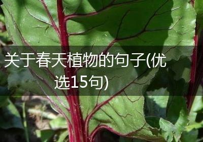 关于春天植物的句子(优选15句)