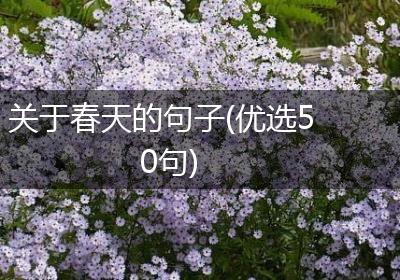 关于春天的句子(优选50句)