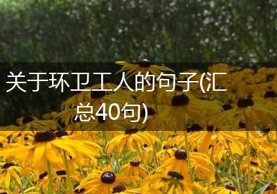 关于环卫工人的句子(汇总40句)