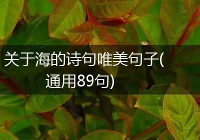 关于海的诗句唯美句子(通用89句)