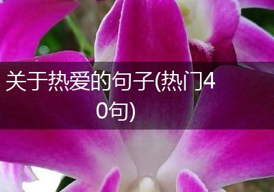 关于热爱的句子(热门40句)