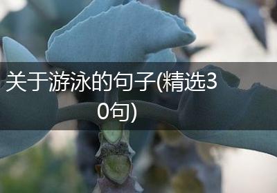 关于游泳的句子(精选30句)