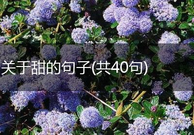 关于甜的句子(共40句)