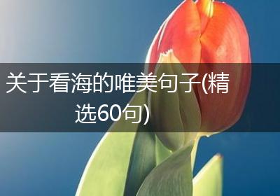 关于看海的唯美句子(精选60句)
