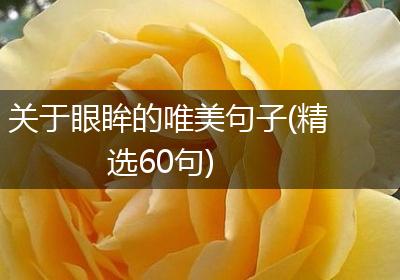 关于眼眸的唯美句子(精选60句)