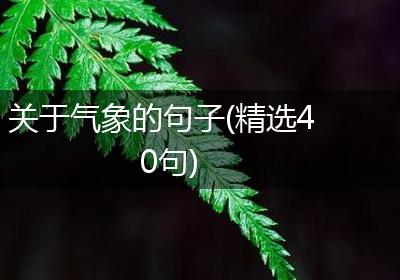 关于气象的句子(精选40句)