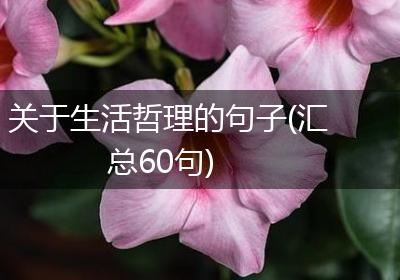 关于生活哲理的句子(汇总60句)