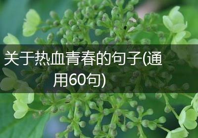 关于热血青春的句子(通用60句)