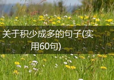 关于积少成多的句子(实用60句)