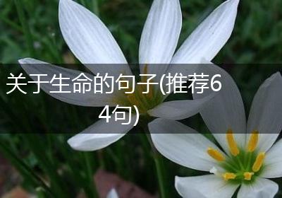 关于生命的句子(推荐64句)