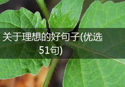 关于理想的好句子(优选51句)